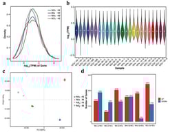 Global gene expression profiling and differential expression analysis under different nitrogen source treatments. (a) Density curves illustrating the distribution of gene expression levels across the four treatment groups. (b) Violin plots displaying the distribution ranges and density of gene expression profiles for individual samples. (c) Principal component analysis (PCA) based on global gene expression, revealing distinct intra-group clustering and inter-group separation. (d) Statistical summary of up-regulated and down-regulated differentially expressed genes (DEGs) identified in pairwise comparisons between treatment groups.