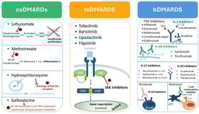 Classification and overview of the mechanisms of action of DMARDs used in rheumatic conditions.
