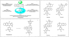 (i) Functional groups and moieties of PTOX that are important for its biological activity; (ii) clinically approved PTOX derivatives; (iii) chemical structure of compound 2.