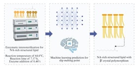 Effect of (a) lipase type, (b) reaction temperature, (c) reaction time, and (d) enzyme loading on NA content in enzymatically synthesized structured lipids. Data are presented as mean ± SEM (n = 3). Statistical significance was determined via one-way ANOVA followed by Tukey’s post hoc test (ns, not significant, p > 0.05; * p < 0.05; ** p < 0.01; *** p  < 0.001).