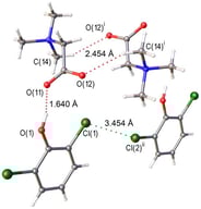 Fragment of crystal structure [TMG•2,6-dichlorophenol] (1:1). Hydrogen bonds and other intermolecular interactions are drawn as dashed lines. Symmetry operations: (i) 2 − x, 1 − y, 2 − z; (ii) 1 + x, +y, +z.