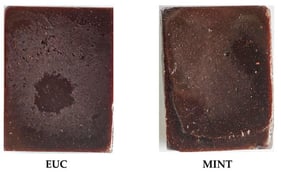 Rosin resin materials incorporated with natural essential oils. EUC denotes the rosin sample incorporating eucalyptus essential oil; MINT denotes the rosin sample incorporating peppermint essential oil.
