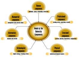 Explanatory model of the university components.