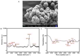 Physical and chemical properties of PU NPs and CIEO used in the present study. (A) SEM image of PU NPs. (B) Raman spectrum image of PU NPs. (C) FTIR spectroscopy of PU NPs.
