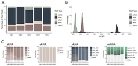 exRNA profiling in human skim milk. (A) Percentage distribution of sRNA biotypes in human skim milk samples collected for this study (HM1–3) and those described in the Human Biofluid RNA Atlas (HB1–2). (B) sRNA length distribution by biotype in the complete dataset. (C) Percentage distribution of the most abundant RNA fragments derived from tRNAs, rRNAs, and yRNAs in human skim milk. Categories with <5% average abundance across all samples were grouped as “others”.