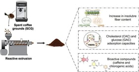Flowchart of the reactive extrusion process with SCG and different reagents.