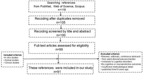 Literature search workflow.
