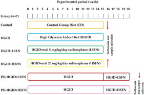 Schematic representation of the experimental design. C57BL/6 mice were administered control diet (CD), high-glycemic-index diet (HGID), HGID + 5 mg/kg/day sulforaphane [HGID+ low-dose SFN (LSFN], and HGID + 20 mg/kg/day SFN [HGID+ high-dose SFN (HSFN)] for 15 weeks and 5 mg/kg/day SFN [post-obesity (PO)-HGID + LSFN] or 20 mg/kg/day SFN (PO-HGID + HSFN) for 5 weeks following 15 weeks of HGID. At the end of the experiment, blood and tissue samples were collected under anesthesia to assess various physiological parameters and changes in gene expression. After sample collection, euthanasia was performed through cervical dislocation. The obtained data were used to evaluate the effects of SFN supplementation on the metabolic dysfunction induced by HGID.