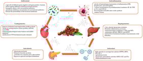 Summary of the health effects of Tamarindus indica in in vitro and in vivo studies. ↓: reduction, ↑: increase, -: inhibition, CVD: cardiovascular diseases, IL: interleukin, TNF α: tumor necrosis factor-alpha, DPPH: 2,2-diphenyl-1-picrylhydrazyl, ABTS: 2,2′-azino-bis(3-ethylbenzothiazoline-6-sulfonic acid), APOA1: apolipoprotein A1, ATIII: antithrombin III, GSTs: glutathione S-transferases, MTs: metallothioneins, SOD: superoxide dismutase, CAT: catalase, Px: peroxidase, ESR: erythrocyte sedimentation rate, NO: oxide nitric, O2∙−: superoxide anion radical, APOA5: apolipoprotein A5, MTTP: microsomal triglyceride transfer protein, I: bis (2-ethylhexyl) phthalate, II: gamma-sitosterol, III: procyanidin B2, IV: oleic acid, V: naringenin, VI: epicatechin.
