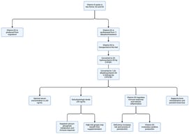 Metabolism of vitamin D and its role in immune regulation, bone homeostasis, and periodontal health. Overview of vitamin D metabolism and its biological significance in immune function, bone metabolism, and periodontal health. Vitamin D exists in two main forms: vitamin D2, derived from ergosterol, and vitamin D3, synthesized from 7-dehydrocholesterol. Vitamin D3 is transported to the liver, where it is converted by CYP2R1 into 25-hydroxyvitamin D3 [25(OH)D3], the principal circulating form. Subsequent renal hydroxylation by CYP27B1 generates the biologically active form, 1,25-dihydroxyvitamin D3 [1,25(OH)2D3]. Optimal serum concentrations of 25(OH)D3 (≥30 ng/mL) support proper calcium–phosphate metabolism, immune regulation, and bone mineralization. Sub-physiologic levels (≤30 ng/mL) are associated with impaired immune responses, dysregulated inflammation, and increased susceptibility to periodontal disease. Vitamin D3 modulates cytokine production, reduces inflammatory responses, and supports alveolar bone preservation, while individuals from high-risk groups may benefit from supplementation as an adjunct to periodontal therapy. Created in BioRender. Gawlak-Socka, S. Figure 1. 2026. Available online: https://BioRender.com/832opio (accessed on 19 January 2026) [11].