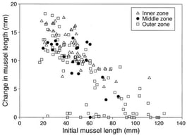 Change in mussel length per year vs. initial length at each zone. Graph sourced from Smith et al., 2000 [51].
