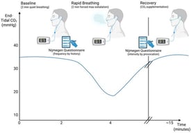 Illustration of Capnic Challenge Test Protocol across time. Created in BioRender (biorender.com, accessed on 29 December 2025). Kingsbury, H. (2025). Modified from Stepanek (2025) [5].
