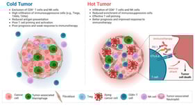ICIs can reshape cold TMEs into hot TMEs. Hot TME is characterized by abundant cytotoxic T cells and pro-inflammatory signaling, whereas cold TME shows limited immune infiltration and high levels of immunosuppressive factors. By converting cold TME into hot, ICIs enhance T-cell activity and promote cancer cell killing. Created in BioRender. Charan, M. (2026) https://BioRender.com/lraiwjd (accessed on 26 January 2026).