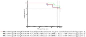 Effect of S. pyogenes GURSA1 treatment on overall survival of C57BL/6 mice orthotopically transplanted with pancreatic cancer.