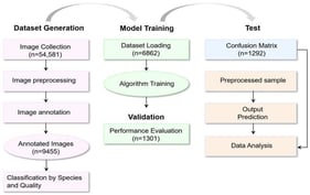 Workflow map for dataset generation, training, and validation.