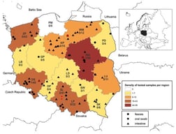 Distribution of bat samples included in the study. Different kinds of samples (feces, oral swab, and intestine) per voivodeship and RT-PCR results (black: negative, red: positive) are shown. The number of positive vs. total samples per region are indicated in each voivodeship. Abbreviations: MA (Masovia), LS (Lower Silesia), WP (Greater Poland), SL (Silesia), PM (Pomerania), LD (Łódź), MP (Lesser Poland), ZP (West Pomerania), LB (Lubusz), KP (Kuyavian–Pomeranian), OP (Opole), PD (Podlaskie), SW (Świętokrzyskie), WM (Warmian–Masurian), PK (Subcarpathian), LU (Lublin).