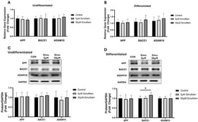 Effect of simufilam exposure on expression of genes involved in amyloid pathways. (A,B) Real-time PCR analysis of APP, BACE1 and ADAM10 in undifferentiated and differentiated SH-SY5Y cells with (5 µm, 50 µM) and without (control) simufilam treatment. GAPDH was used as an internal control (N = 9). (C,D) Western blot analysis of APP, BACE1 and ADAM10 in undifferentiated and differentiated SH-SY5Y cells with (5 µm, 50 µM) and without (control) simufilam treatment. Densitometry of representative blot was normalized to GAPDH (N = 6). Data represented in fold difference, * p < 0.05, based on a one-way ANOVA followed by Bonferroni test for multi-comparisons.