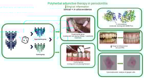 The best calculated poses for all studied molecules within the active site of human COX-1 (left) and COX-2 (right).