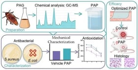 Macroscopic appearance of the free-standing film prepared from the optimal formulation.