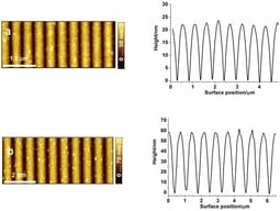 AFM images: silver grating and its profile (a); aluminium grating and its profile (b).