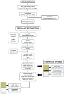 Flowchart of the triphasic extraction system.