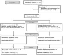 Flow diagram of participant recruitment, eligibility assessment, exclusions, randomization, and group allocation in the randomized controlled trial. A total of 76 individuals were assessed for eligibility, 69 met the inclusion criteria, and 65 participants were randomized to the experimental group (n = 32) or the control group (n = 33).