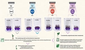 Representative images of ‘UCB1’ pistachio plantlets grown under combined light quality, including RB (red–blue), R (red), B (blue), W (white), and VPD 0.2 (low) and 1.0 (high) kPa treatments. (A) RB light treatment combined with low VPD; (B) B light treatment combined with high VPD; and (C) W light treatment combined with high VPD.