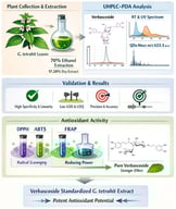 UHPLC–PDA chromatogram of GtE showing the verbascoside peak at 9.41 min. GtE: G. tetrahit extract; UHPLC–PDA: Ultra-high-performance liquid chromatography–photodiode array.
