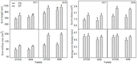 Response of root growth parameters of different cold-tolerance maize varieties to chilling stress (CS vs. OT). Bars with different letters within a parameter differ significantly (LSD, p < 0.05). Error bars represent the standard error of the mean. (Root length refers to total root length per plant within the 0–30 cm soil layer).
