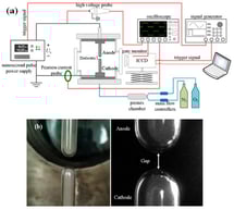 The experimental setup. (a) The setup diagram. The blue line represents the gas path. The red line represents measurement and control signals. The black line represents the circuit. (b) Images of the electrodes.