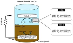 The average voltage from each group over the course of 61 days in the experiment.