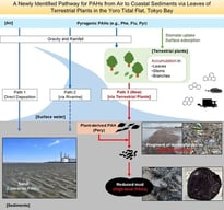 Location of the sampling site in the Yoro tidal flat, Ichihara, Chiba Prefecture, Japan. (A) Map of Japan showing the Kanto region, including the sampling area (red box). (B) Location of the sampling site within Tokyo Bay, with a red square indicating the Yoro tidal flat. (C) Detailed map of the Yoro tidal flat, with individual sampling sites indicated by red points (a–d): a, location where reduced mud was collected (29 September 2023); b, location where terrestrial plant I was collected (27 September 2023); c, location where terrestrial plant II was collected (29 September 2023); d, location where terrestrial plant III was collected (17 October 2024).