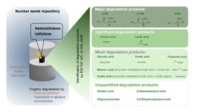 Filtered solutions obtained after 1 year of alkaline degradation of (irradiated) cellulosic tissues. The codes on the samples are in accordance with Table 1.