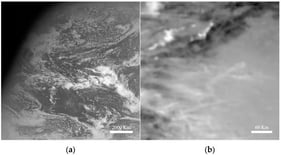 (a) Original image. (b) Preprocessed image.