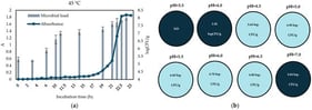 (a) Bacillus coagulans growth curve at 45 °C for 24 h in BHI broth solution under aerobic conditions. Correlation between microbial load (logCFU/g) and absorbance. (b) Microbial load (logCFU/g) of Bacillus coagulans in different pH buffer solutions ranged from 3.5 to 7.0. ND: Not detected, detection limit < 1.0 logCFU/g.
