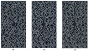 Pattern of micromodel. (a) Micromodel 1: Basic design. (b) Micromodel 2: Short-Length of wormhole (c) Micromodel 3: Long-Length of wormhole [18].
