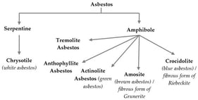 Types of asbestos mineral forms, a diagram modified from [27,28].