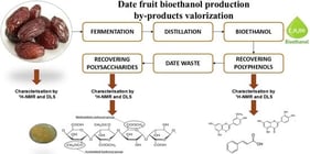 Scheme of the extraction procedure applied to recover phenolic extracts and polysaccharide fractions (F1–F2) from Medjool date palm by-products. In color, images indicating analysis.