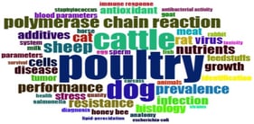 Keyword co-occurrence word cloud representing dominant research themes in AUVFD (2007–2024).