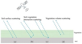 Schematic illustration of backscatter components: (a) soil surface scattering, (b,c) soil–vegetation interaction scattering, and (d) vegetation volume scattering. The green layer denotes vegetation, while the gray layer denotes soil.