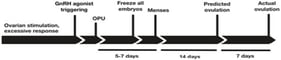Time-dependent illustration of the main events from ovarian stimulation to actual hCG-induced ovulation in the next natural cycle (OPU = oocyte pick-up).