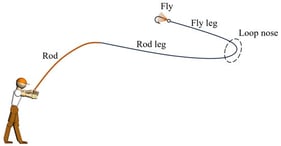 Image of the loop after a forward cast.