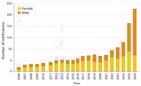 Work-related musculoskeletal disorder (WRMSD) notifications by gender in Brazil from 2006 to 2024.