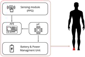 Schematic diagram of monitoring system.