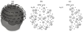 (a) Whole-head OPM-MEG system with 80 measuring sites, where each arrow represents a sensing direction of two axial OPM sensors. The gray surfaces represent reconstructed BEM surfaces for one subject. (b) Whole-head OPM grid with selected (circle) and unselected (cross) measuring sites for the first 30 optimally selected measuring sited using all–bases SPH simulated data from the whole-head OPM-MEG system. (c) Right-hemisphere OPM grid for 21 optimally selected measuring sites using all–bases SPH simulated data from 43 measuring sites on the right hemisphere only. Encircled numbers show the order of selected sites.