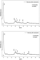 XRD pattern of nanoclay before (a) and after Nystatin adsorption (b).