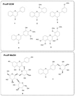Chemical structures of the isolated flavonoids. Flavone aglycones from dichloromethane extract (PvulP-DCM): flavone (1), 2′-methoxyflavone (2), 3′-methoxyflavone (3), 3′-hydroxy-4′,5′-dimethoxyflavone (4), 5,6,2′,3′,6′-pentamethoxyflavone (5). Flavonoid glycosides from methanol extract (PvulP-MeOH): kaempferol 3-O-β-glucopyranosyl-(1-2)-β-glucopyranosyl-(1-6)-β-glucopyranoside (6), 3′-hydroxyflavone- 4′-O-β-glucopyranoside (7).