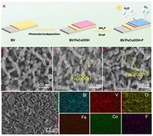 (a) Schematic illustration of the preparation procedure for BV/FeCoOOH-F; (b–d) SEM image of BV, BV/FeCoOOH and BV/FeCoOOH-F, respectively; (e) energy-dispersive spectroscopy (EDS) elemental mapping.