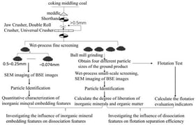 Experimental flowchart.