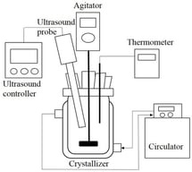 Experimental apparatus for the sonocrystallization experiment.